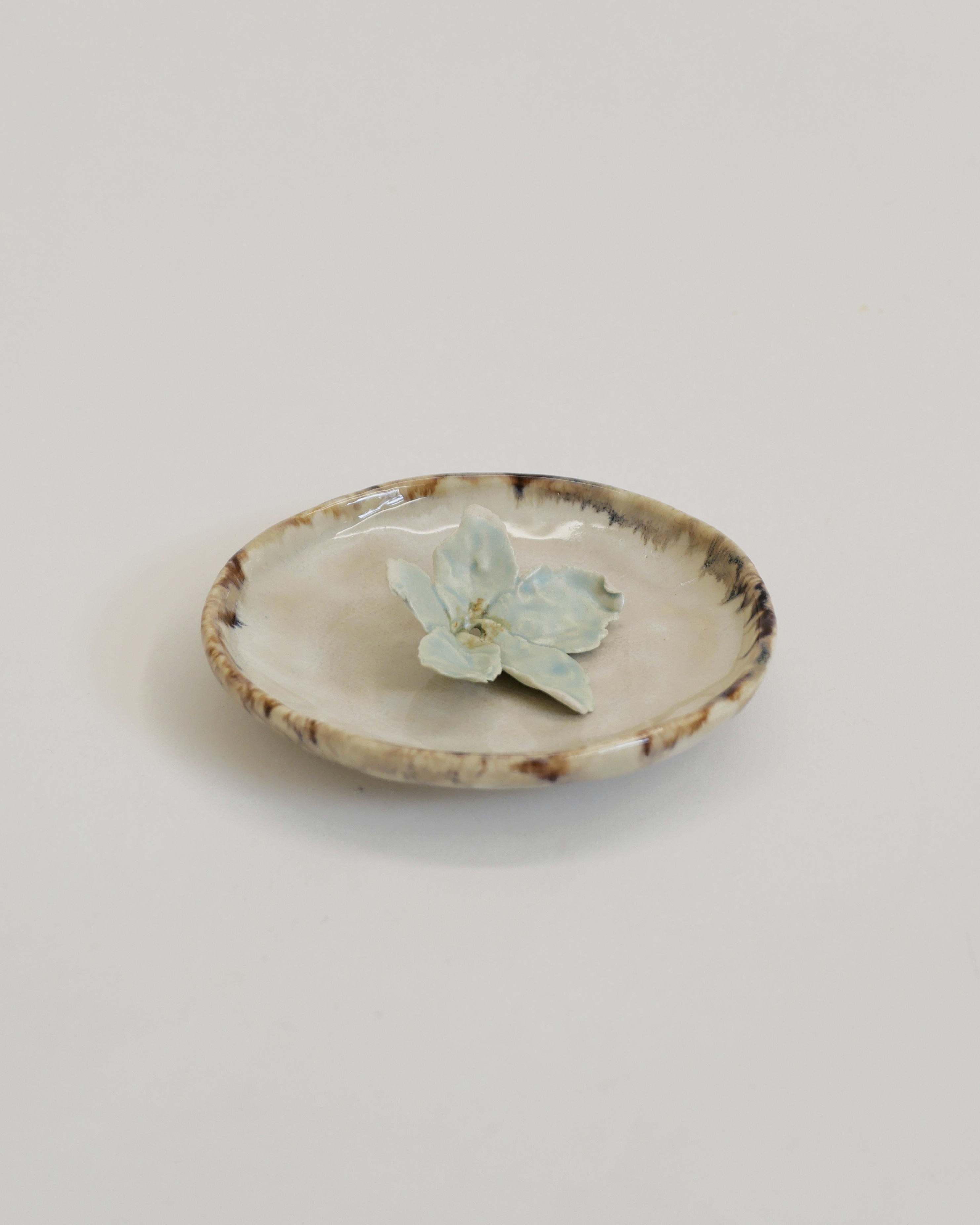 Everyday plate-ivory