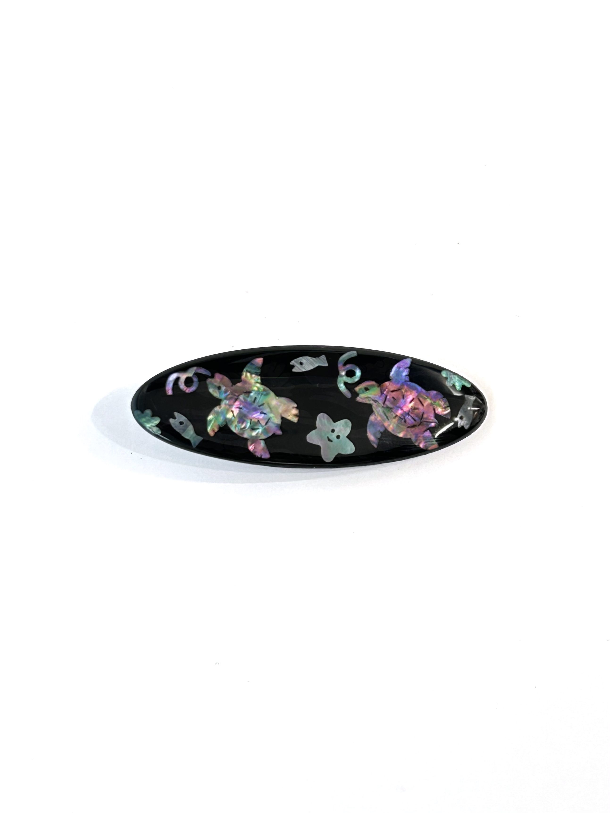 A Pair of Turtles in the Ocean