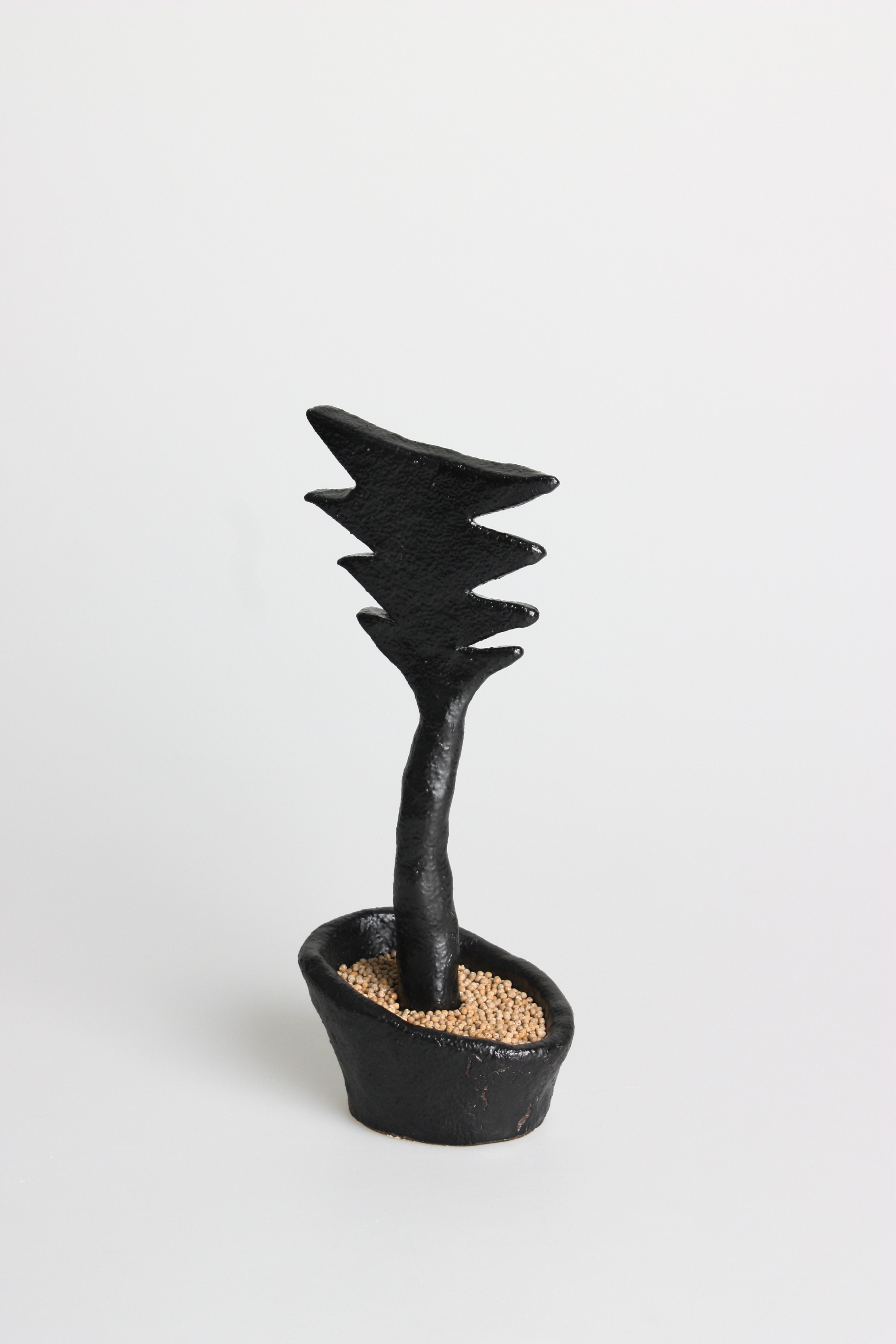 witherless flower - Image 3