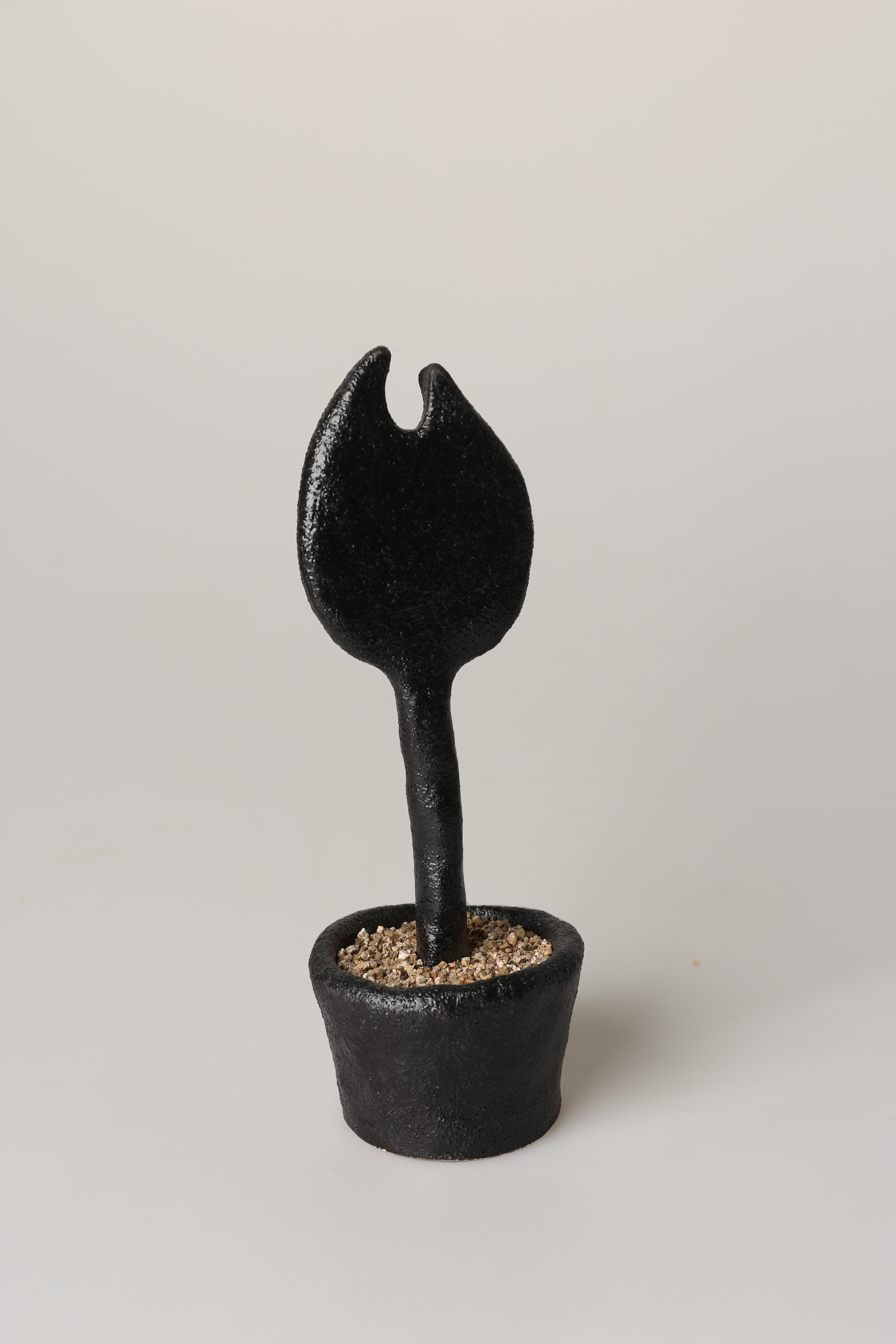 witherless flower - Image 4