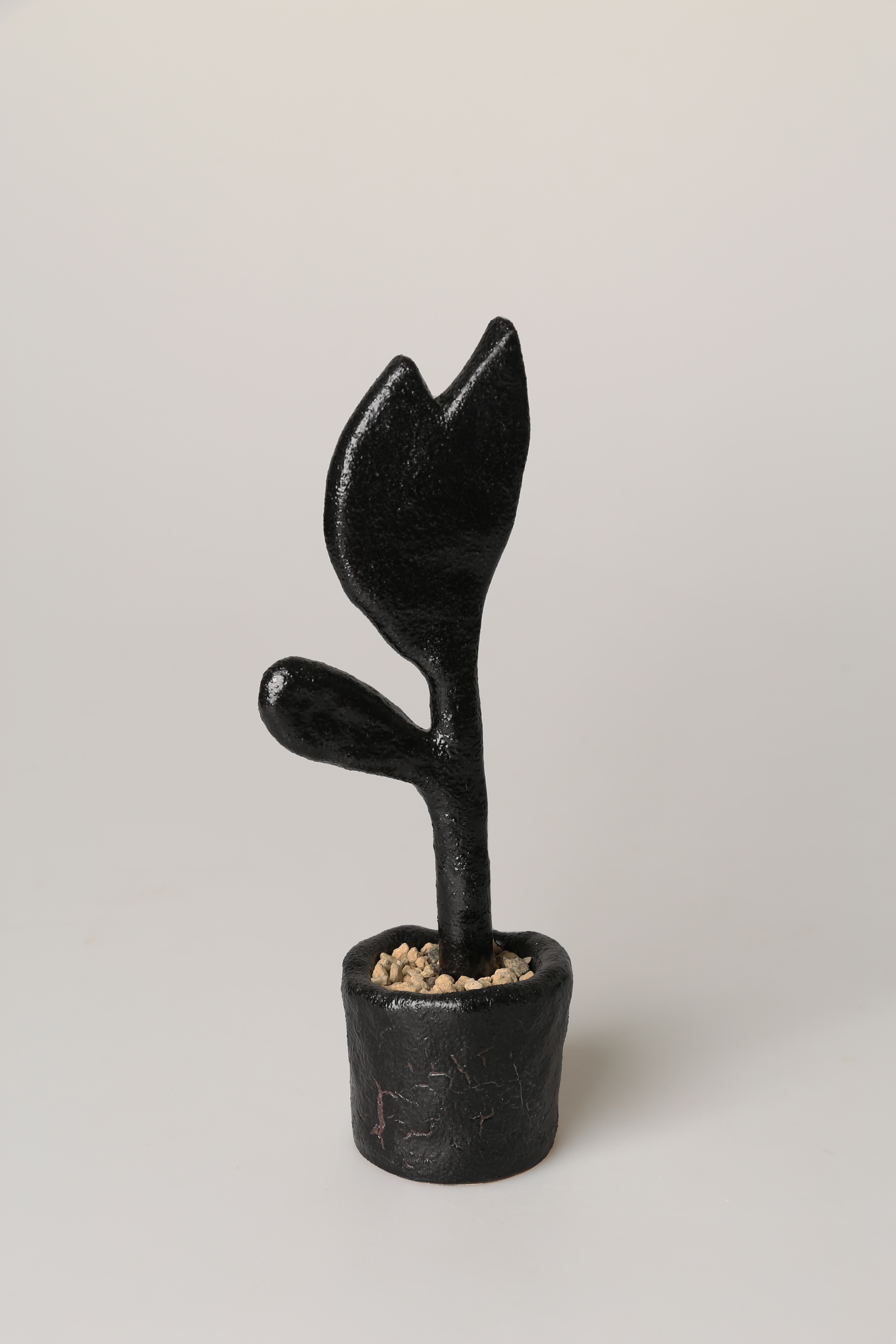 witherless flower - Image 2