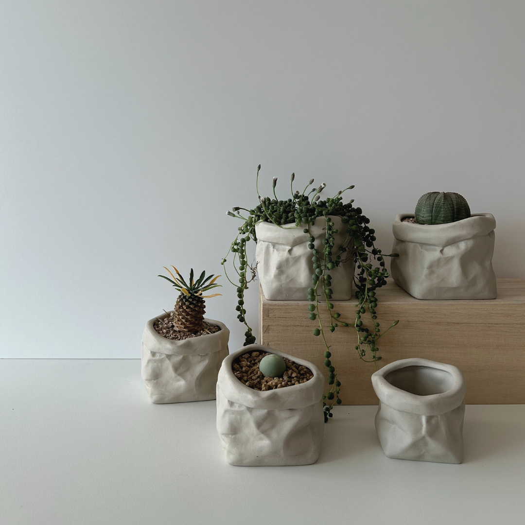 paper pot - Size 2 - Image 1