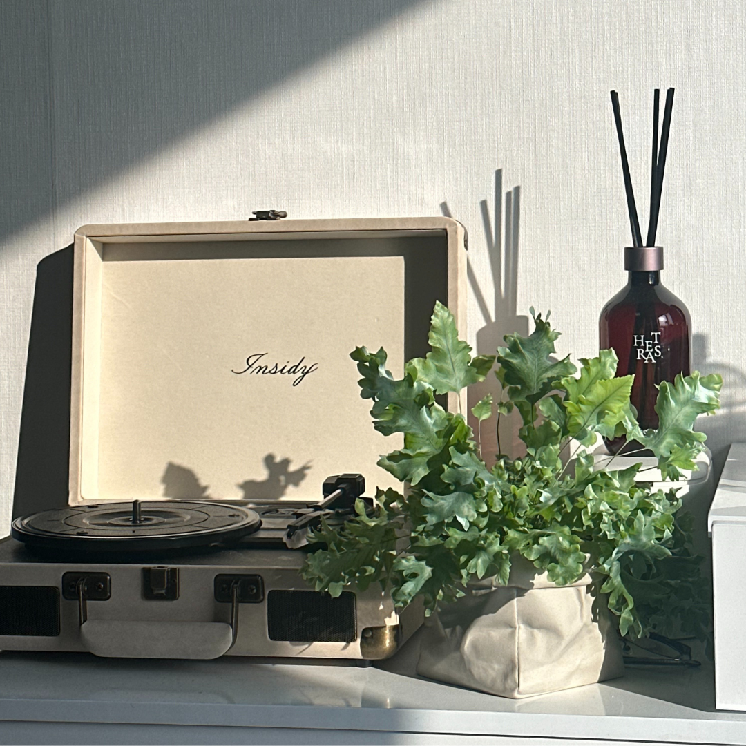 paper pot - Size 5 - Image 1