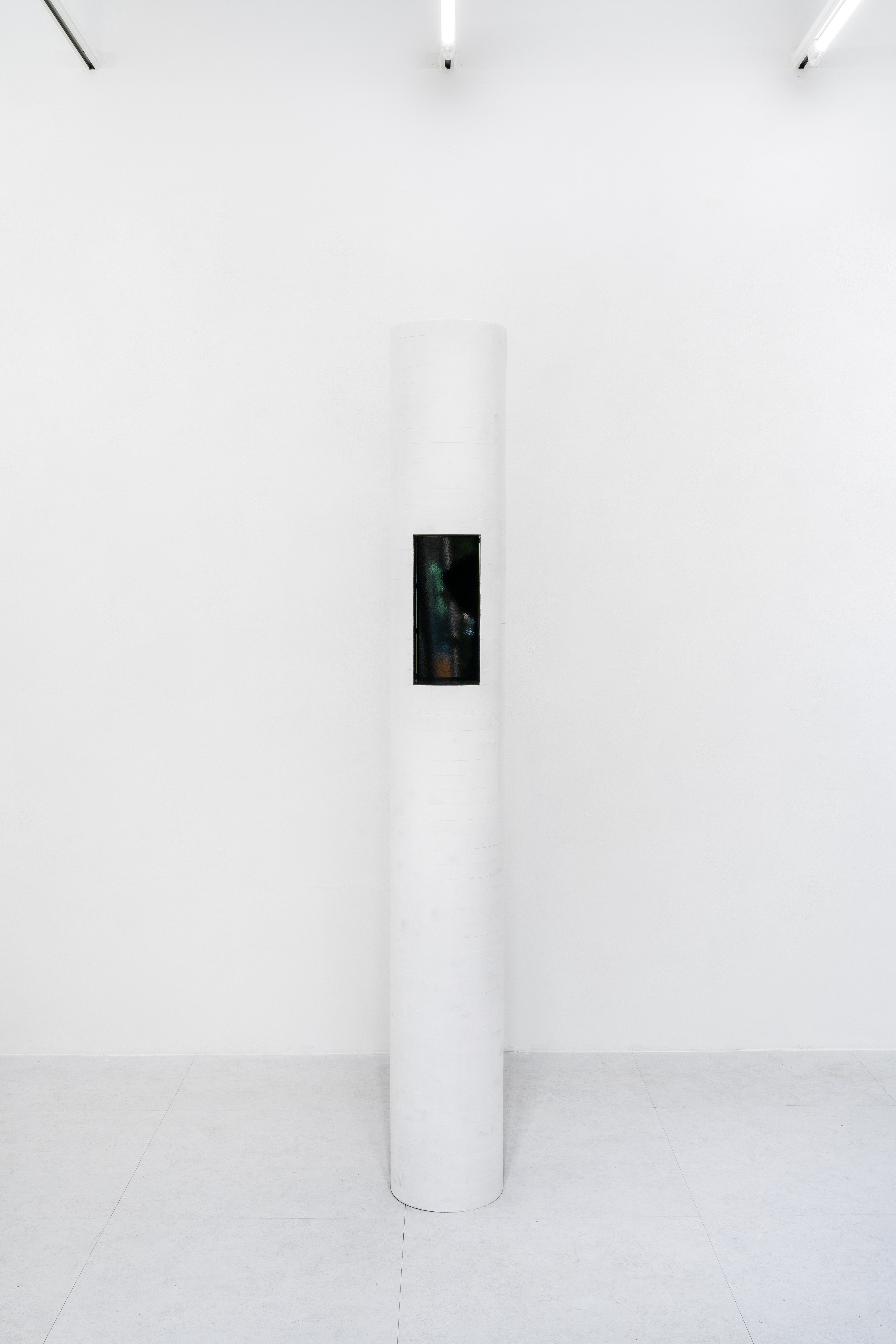 Abyss_hundreds of trees, white - Image 2