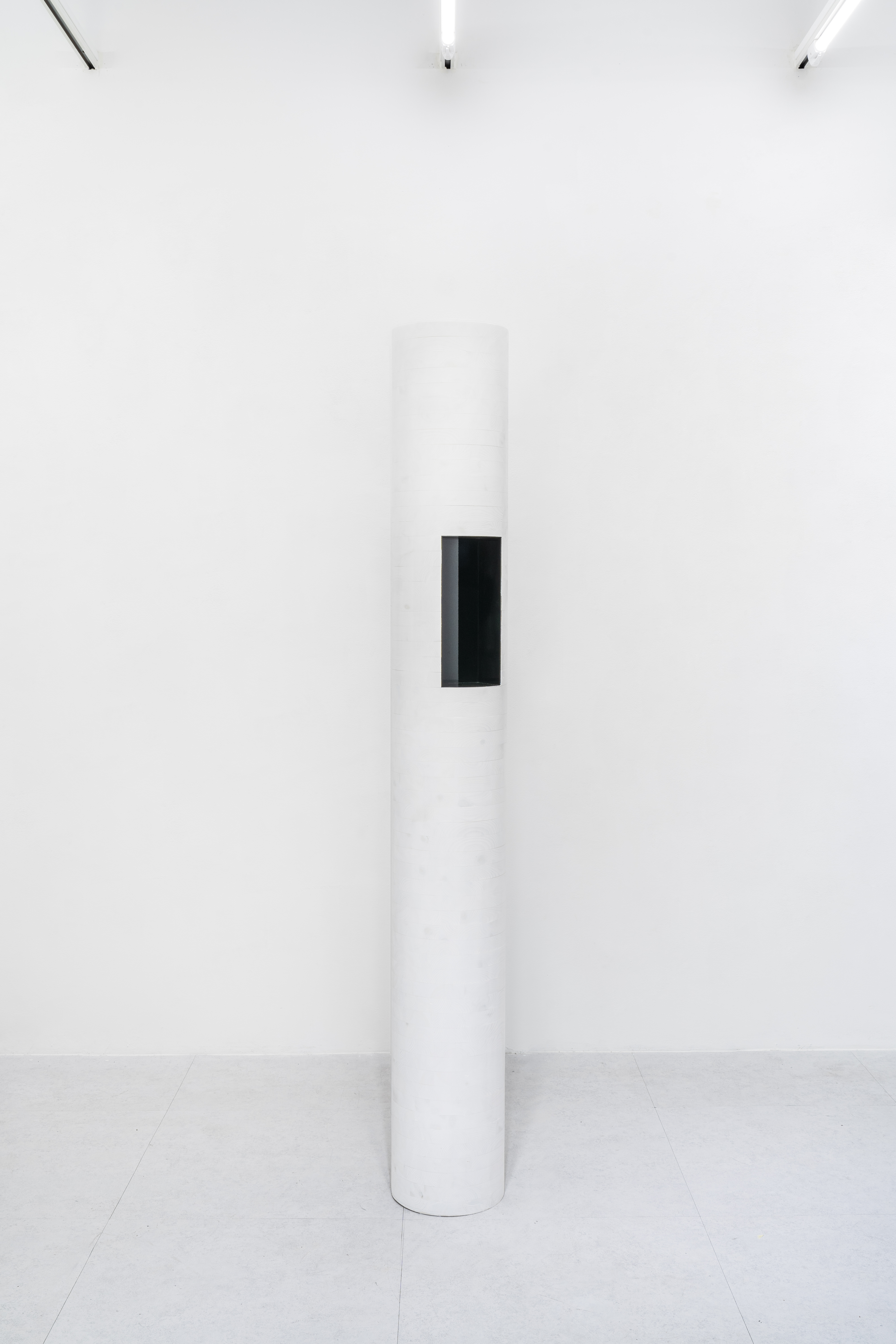 Abyss_hundreds of trees, white