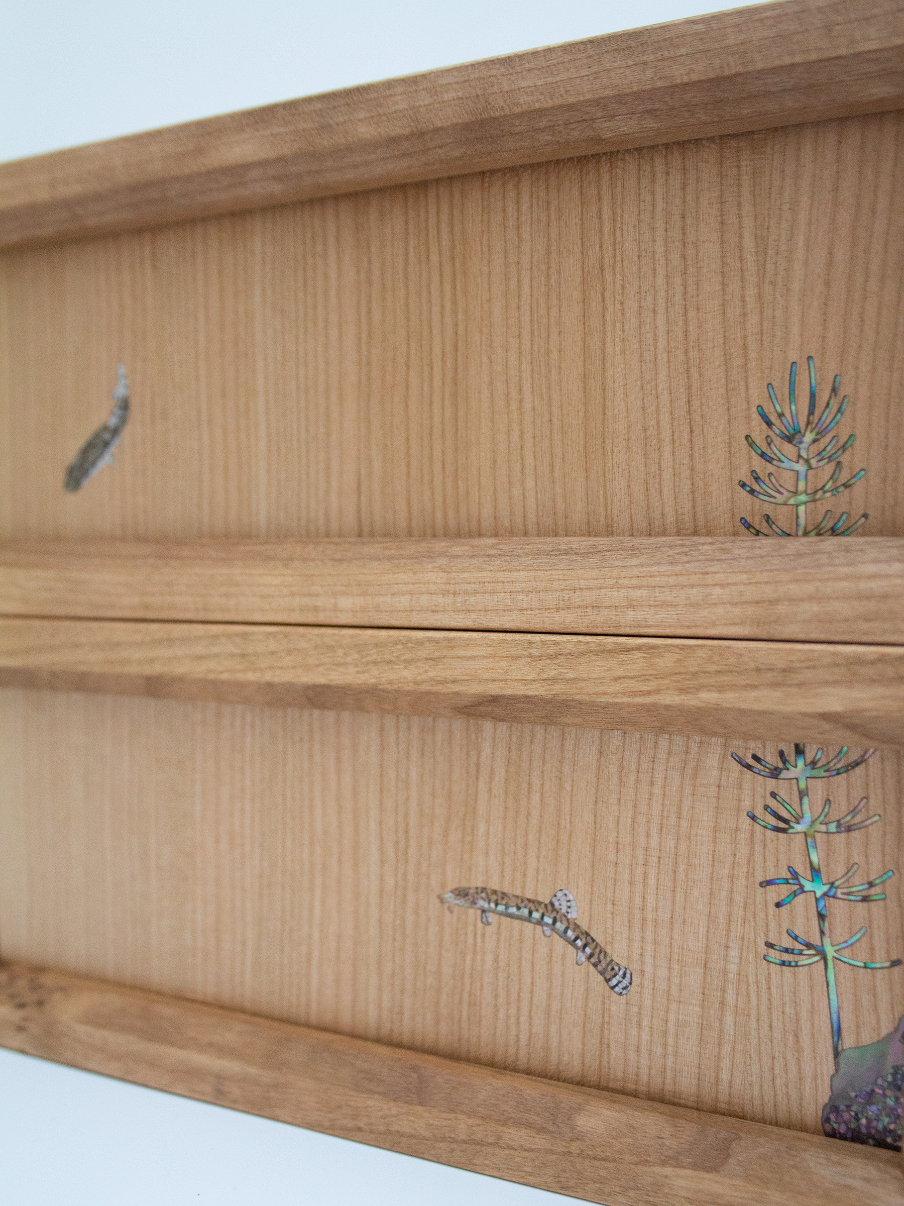 Aquarium Cabinet - Image 3