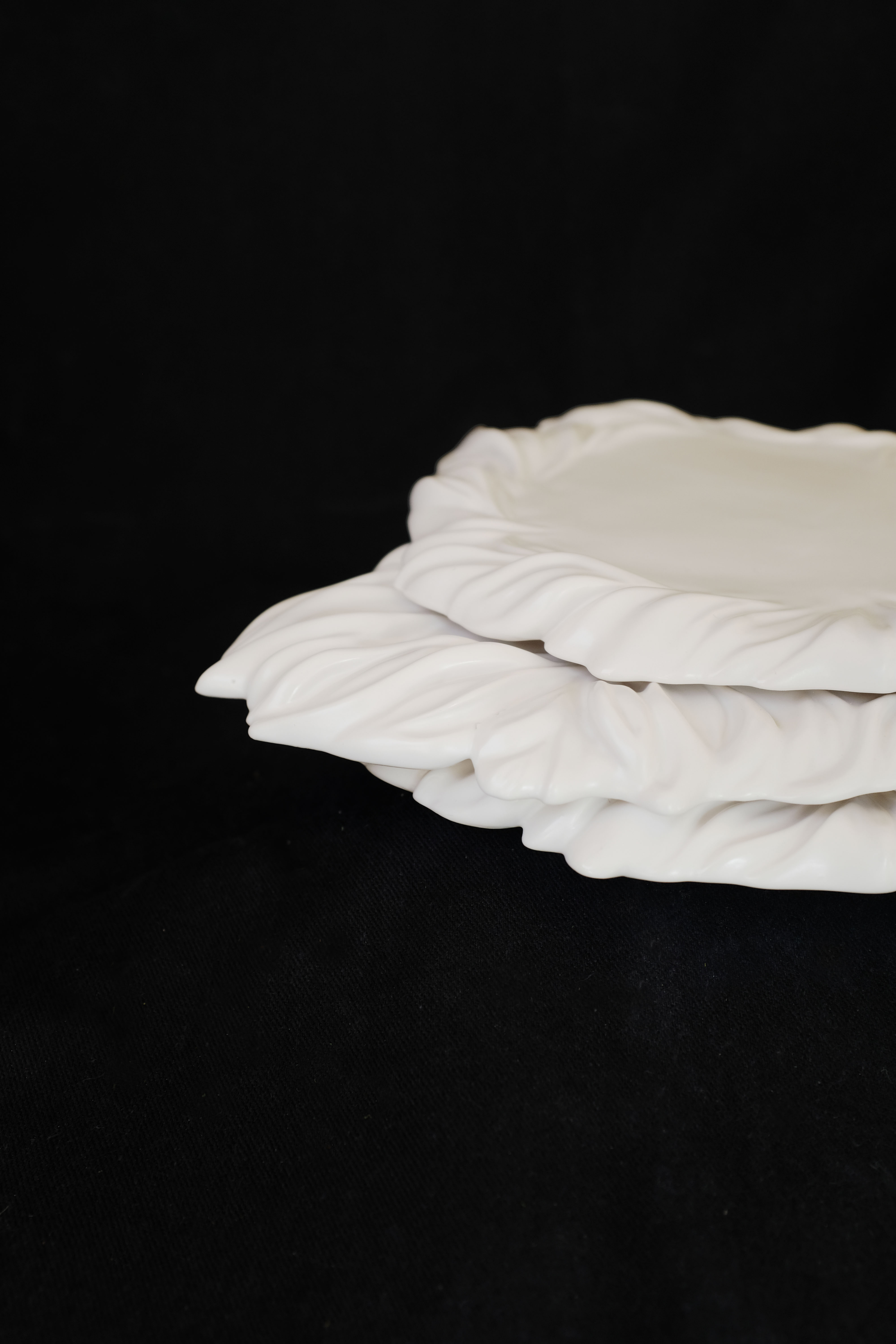 fallen petals - Image 4