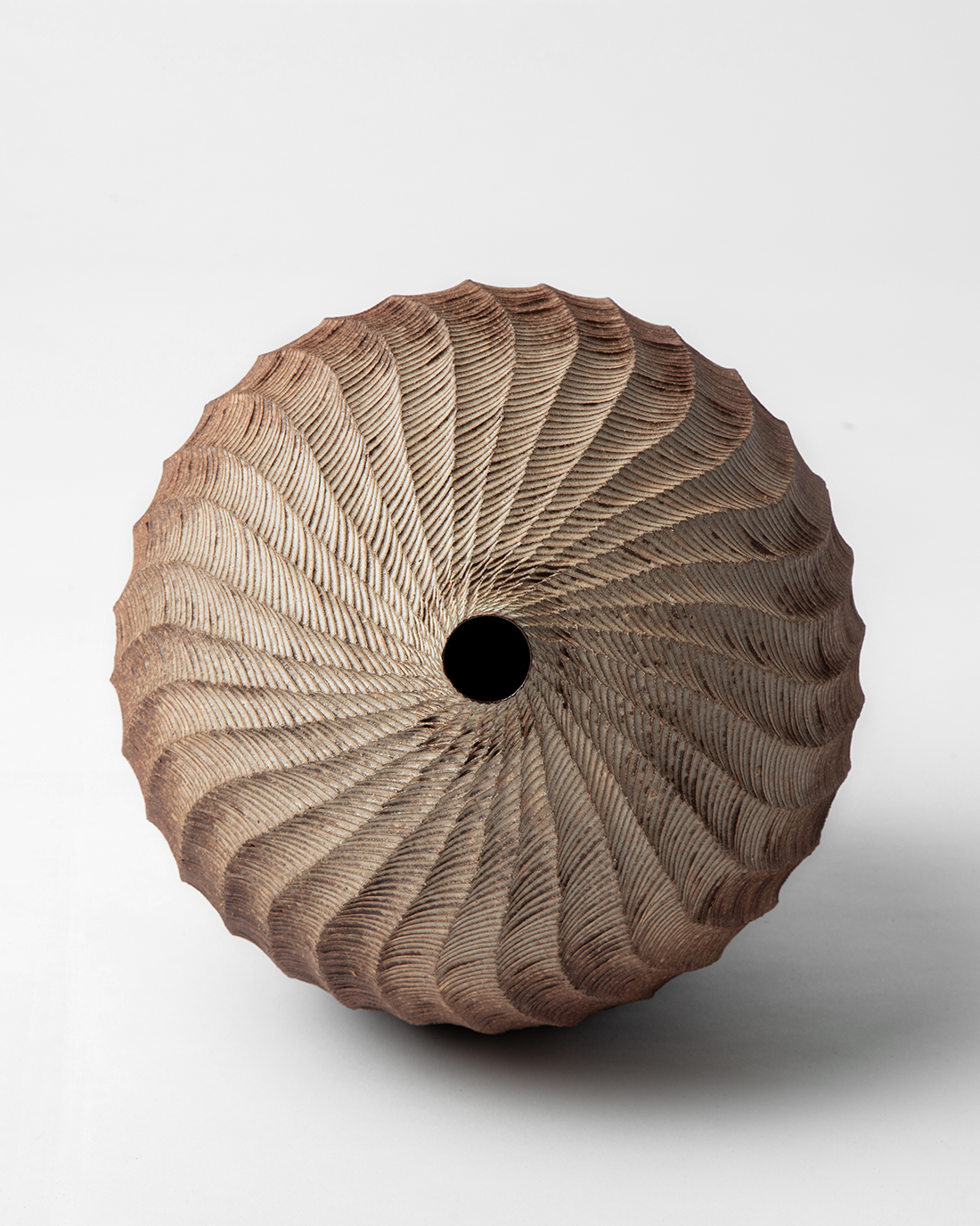 seeped in pectinate - Image 2