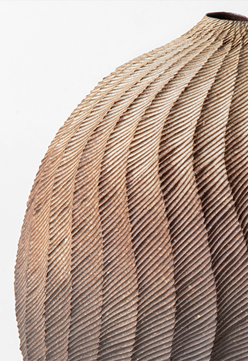 seeped in pectinate - Image 3