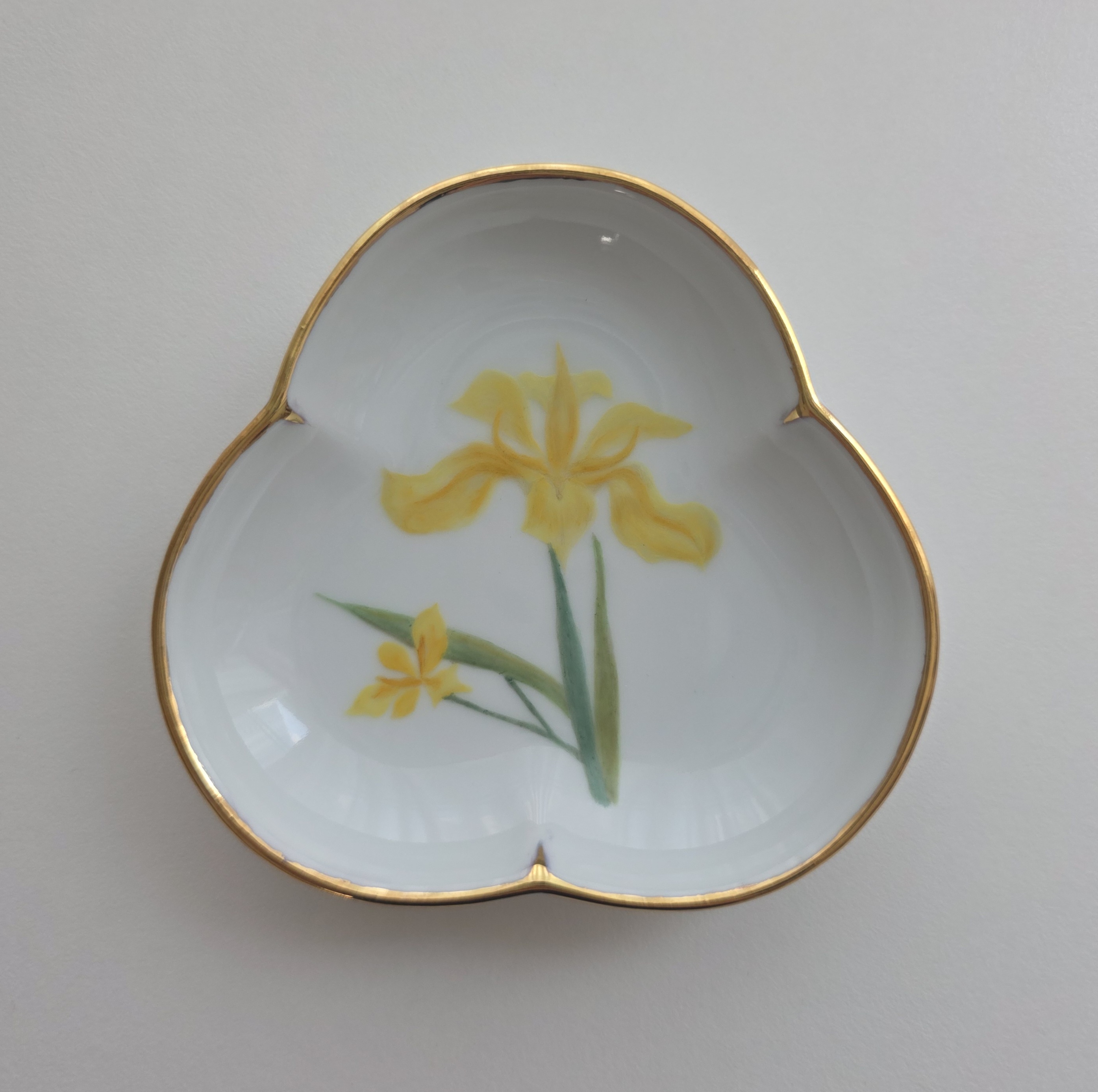 Eternally Eternal : Korean Yellow Iris