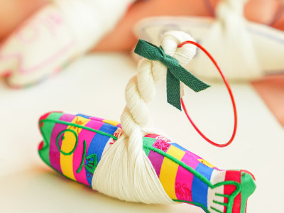 Lucky Pollack Doll, BOKTAE Magnet