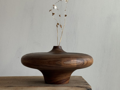 Amur maackia(Maackia amurensis) Jar